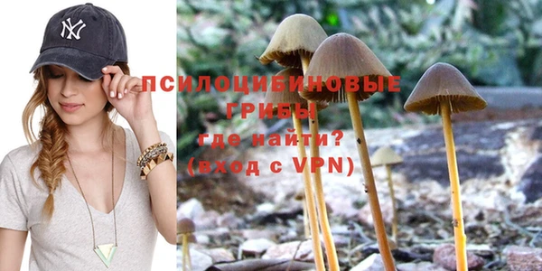 бошки Беломорск